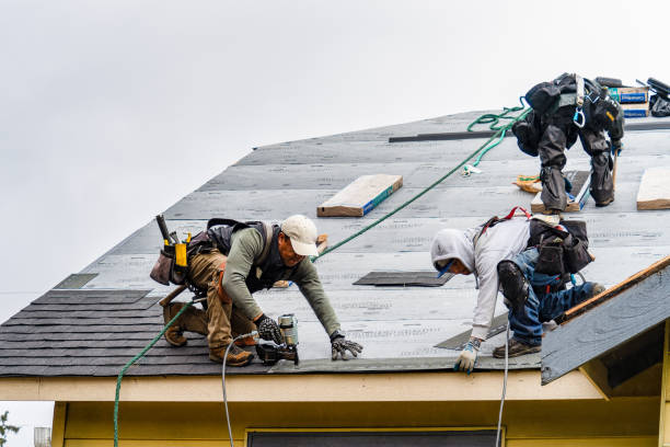 Professional Storm Damage Roof Repair technician working in Mccutcheon Field, NC